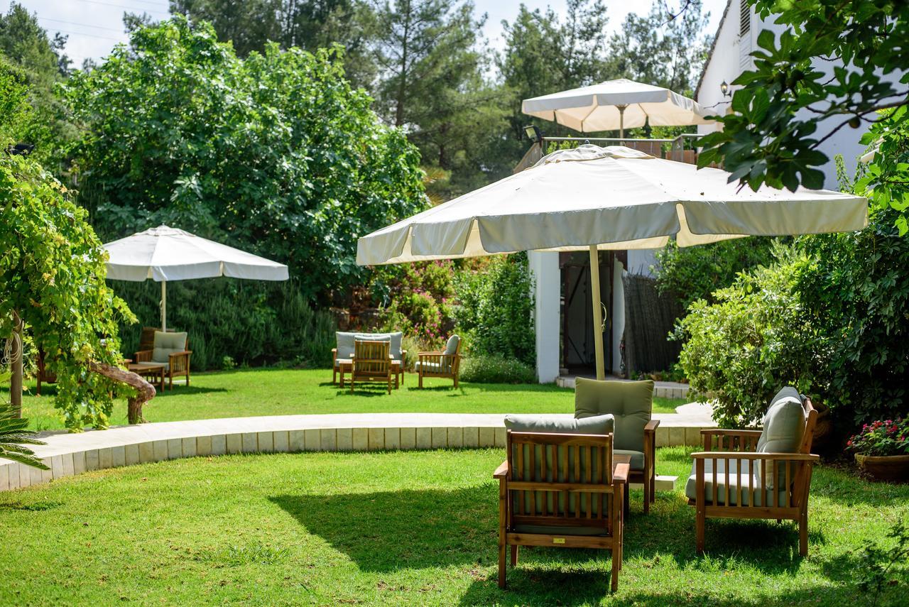 Amirey Hagalil Boutique Hotel Amirim Eksteriør billede